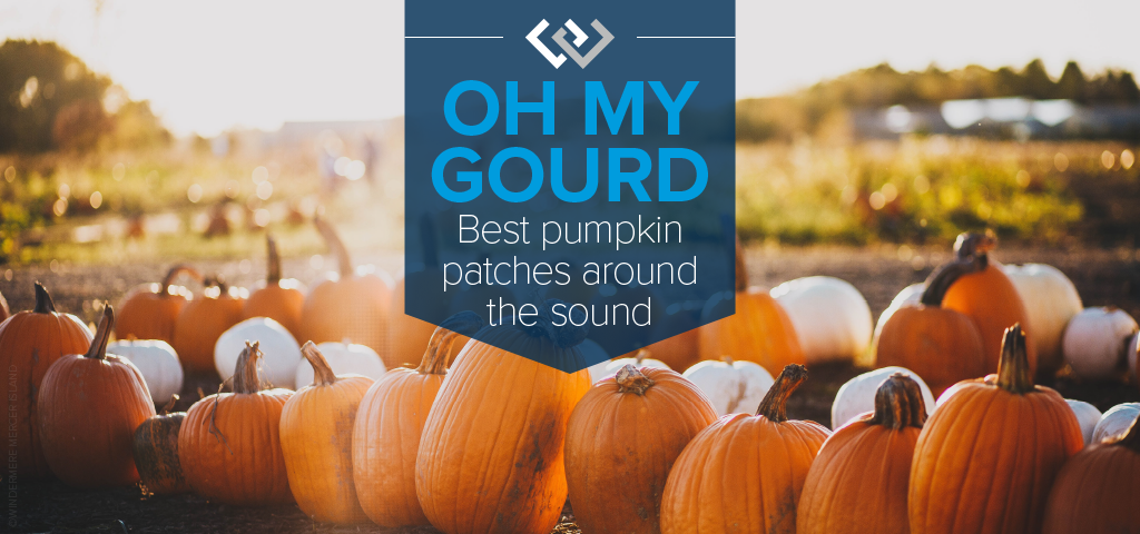 Oh My Gourd! Best Pumpkin Patches Around the Sound